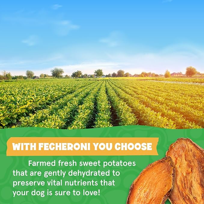 Sweet Potato Dog Treats, Healthy Dental Treats, Dehydrated Vegan Chews, High Fiber Gluten Free, Vegetarian Pet Food for Training and Teeth Cleaning for Canines 16oz