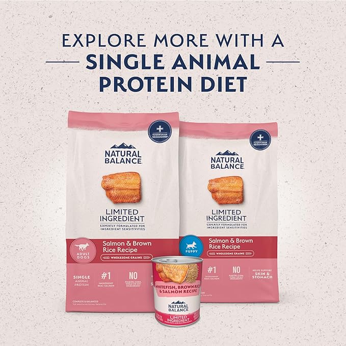 Natural Balance Limited Ingredient Adult Dry Dog Food with Healthy Grains, Salmon & Brown Rice Recipe, 12 Pound (Pack of 1)