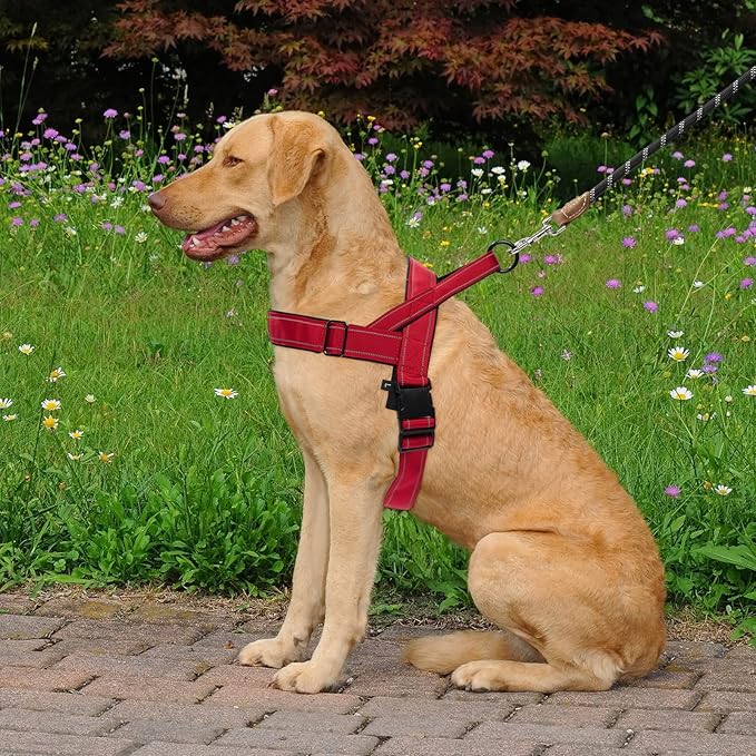 Red No Pull Dog Harness for Small Medium Large Sized Dog, Reflective Escape Proof Adjustable Dog Harnesses with 2 Patch, XL