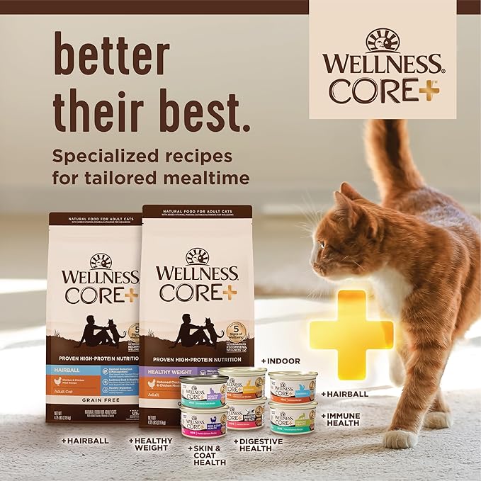 Wellness CORE+ Adult Dry Cat Food for Indoor & Outdoor Cats, Grain Free, Natural, Healthy Weight, Chicken and Chicken Meal (4.75 Pound Bag)