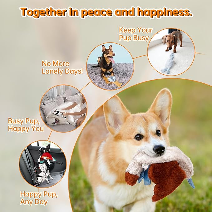 Nocciola Squeaky Dog Toys