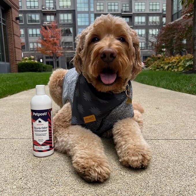 Petpost | Skunk Odor Eliminator Shampoo for Dogs & Cats. Neutralizes Strong Odors. Gentle & Safe Formula. 16 oz