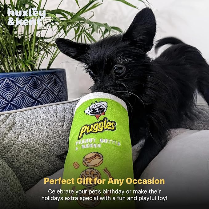 Huxley & Kent Funny Dog Toy w/Squeaker – Power Plush Squeaky Dog Toys for Small, Medium & Large Dogs – Soft Stuffed Animal for Indoor Play & Fetch - Puggles Can, Small