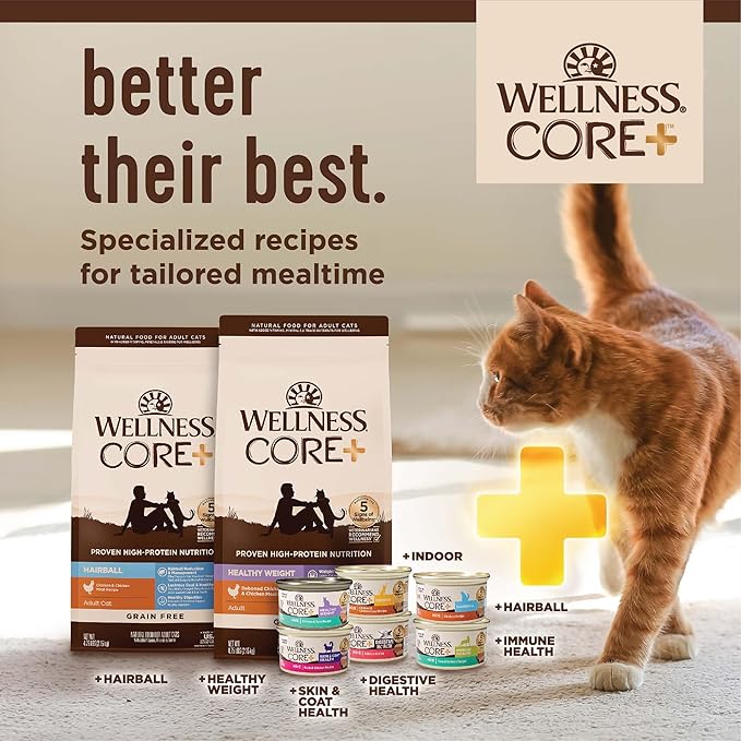 Wellness CORE+ Adult Dry Cat Food for Indoor and Outdoor Cats, Wholesome Grains, Natural, Digestive Health Chicken & Rice (11 Pound Bag)