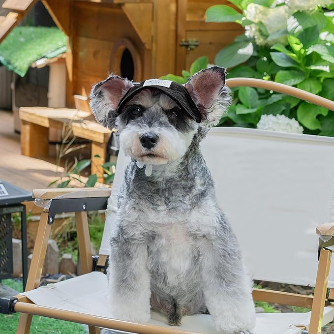 Pet Dog Baseball Cap, Cat Hat, Cat Dog Sun Cap with Ear Holes, Adjustable Puppy Outdoor Sun Hat (Black, X-Small)