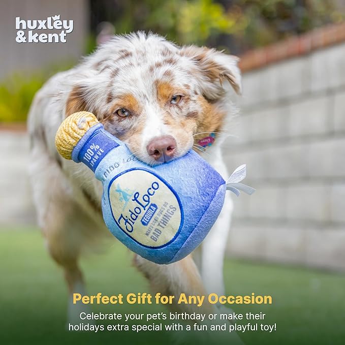 Huxley & Kent Funny Dog Toy w/Squeaker – Power Plush Squeaky Dog Toys for Small, Medium & Large Dogs – Soft Stuffed Animal for Indoor Play & Fetch - Fido Loco, Large
