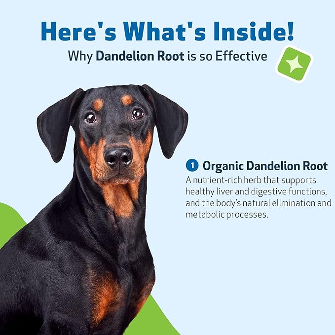 Pet Wellbeing Dandelion Root for Dogs - Liver & Heart Health, Digestive Function, Blood Sugar Support, Certified Organic - Veterinarian-Formulated Herbal Supplement 4 oz (118 ml)
