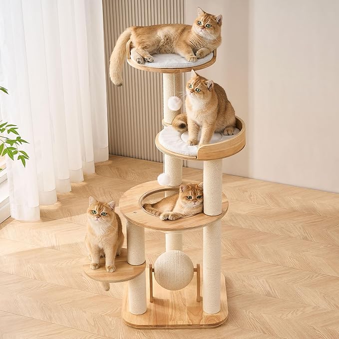 797Audio Modern Solid Wood Cat Tree Tower, 49" Tall Cat Tree with Sisal Scratching Posts and Capsule for Large Cats, Natural Oak Wooden Cat Tower,Aesthetic Multi-Level Cat Climbing Tree for Indoor Cat