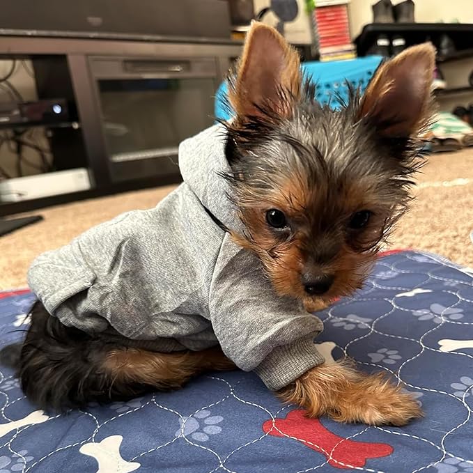 Jecikelon Winter Dog Hoodie Sweatshirts with Pockets Warm Dog Clothes for Small Dogs Chihuahua Coat Clothing Puppy Cat Custume (Grey, X-Large)