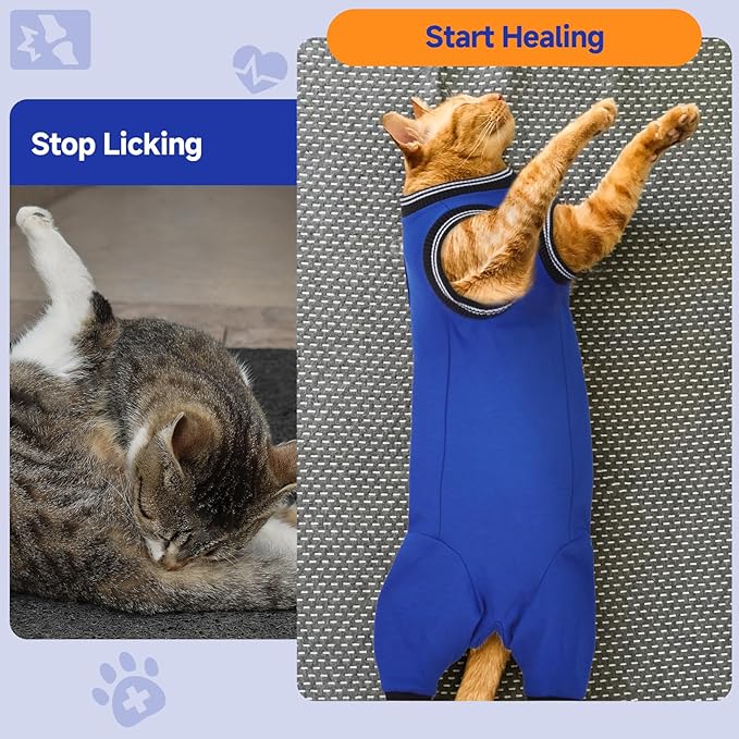 Stress-Free Cat Recovery Suit for Female Cats - Vet-Backed E-Collar Alternative, Anti-Lick & Rear Access Design RoyalBlue M
