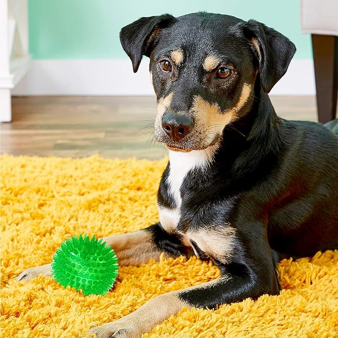 SHARLOVY Squeaky Balls for Dogs Small, Fetch Balls Rubber 3 Pack Bright Colors, TPR Puppy Dog Toys, Squeaky Spike Chew Toys for Small Puppy