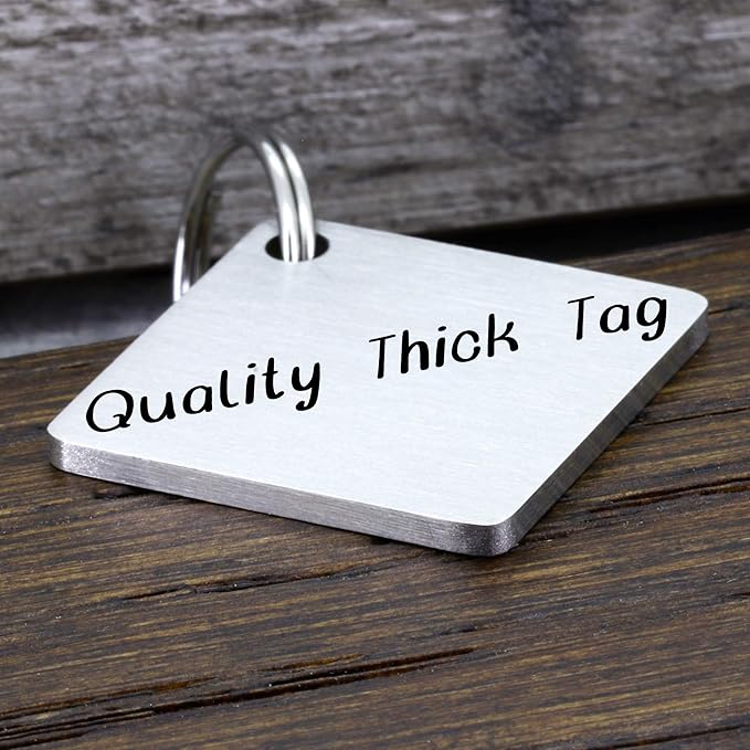 Ultra Joys Dog ID Tag, Custom Dog Tag Personalized Cat Tag, Pet ID Tag, Brushed Stainless Steel Diamond Dog Tag Silver Large