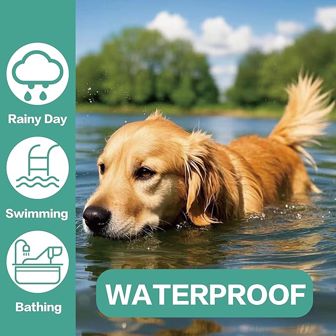 Flea Collar for Dogs, Flea and Tick Prevention for Dogs Collar, Dog Flea and Tick Treatment, 2 Collars, 12 Months Prevention, One Size Fits All