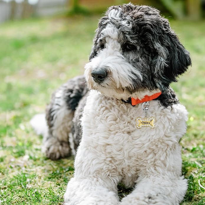 Fliplock Carabiner Dog Tag Clips - Quick Release Collar Clips for ID Tags, Pet Safety, and Keychains - Small, Secure Carabiner Clips for Dog Collars, Keys, and More