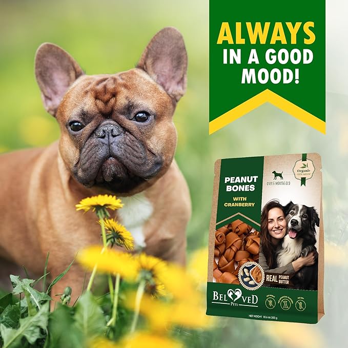 Dog Treats Peanut Butter Bones with Cranberry & Rawhide Free Chew 10.6 Oz - Pet Natural Mini & Big Snacks Healthy Collagen & Bulk Best Chews for Small & Large Dogs - Made for USA (Peanut Butter)