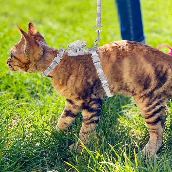 TIESOME Cat Harness and Leash Set, Adjustable Gradient Kitten Harness Escape Proof Harness with Leash for Kitty Outdoor Walking (Bow Tie)