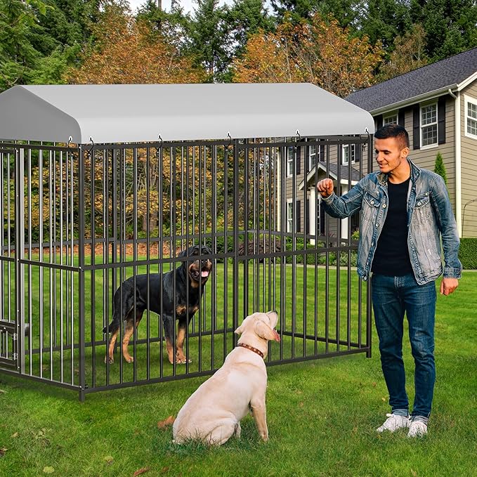 Metal Dog Kennel Outside,8x4x6 FT Heavy-Duty Outdoor Dog Cage with Roof and Lock,Covered Outside Kennel,for Medium and Large Dogs