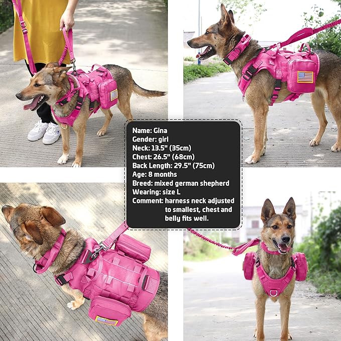 Forestpaw Pink Tactical Dog Harness for Large Dogs,Tactical Dog Collar with Bungee Leash Set,No Pull Military Dog Harness for Walking Training,Adjustable for Medium Large Dogs,Chest 19.5-41.5"