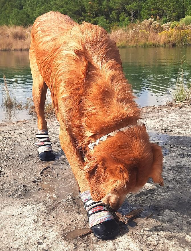 All Weather Neoprene Paw Protector Dog Boots with Reflective Straps in 5 Sizes! (Multicolor XL)