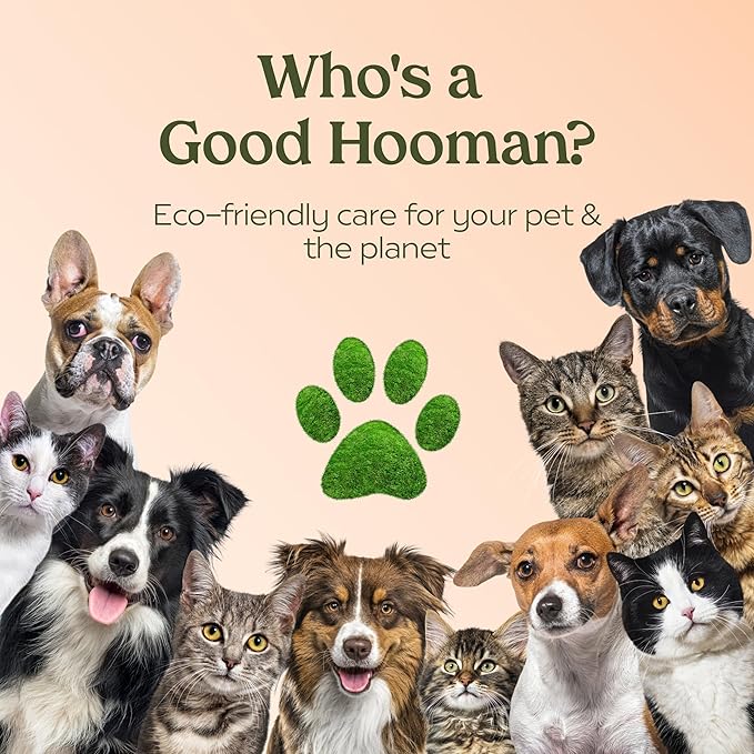 PAWFUME Dog Perfume Spray Long Lasting Scent for Grooming, Show Dog, 1-Pack – Keep Your Pup Fresh All Day – Hypoallergenic, Alcohol-Free, Detangling Formula – Moisturizing Pet Cologne Spray for Dogs