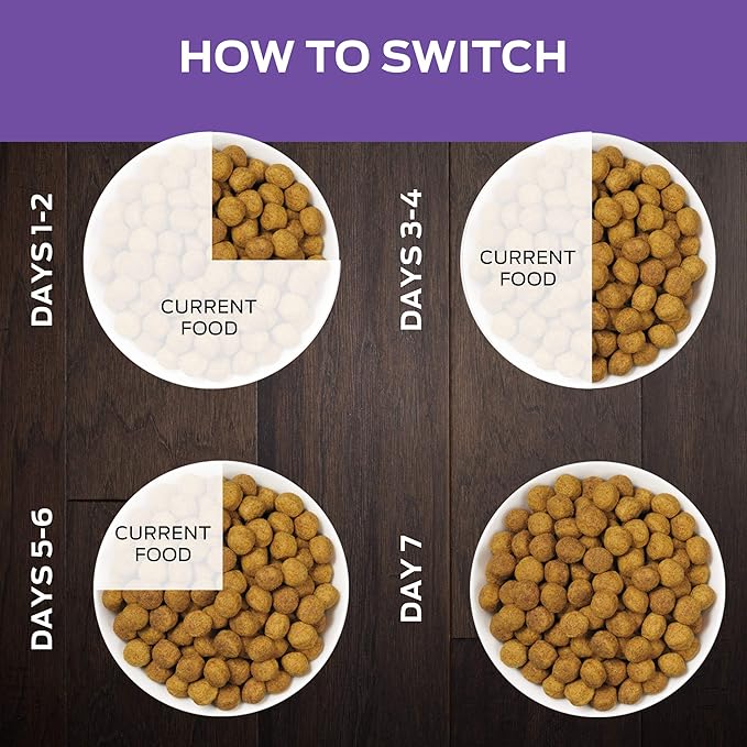 Pro Plan Veterinary Diets Purina DH Dental Health Feline Formula Dry Cat Food - 6 lb. Bag