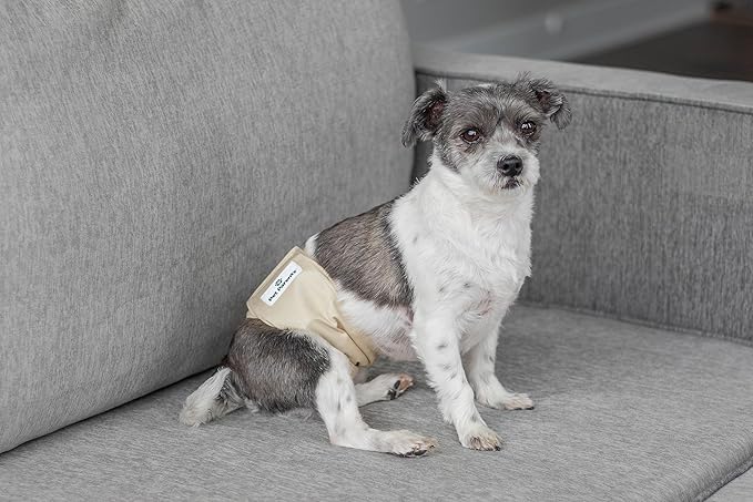 Pet Parents® Washable Belly Bands for Male Dogs (3pack) + Extendrs® of Durable Dog Diapers Male, Premium Male Dog Diapers & Dog Wraps (Small, Spruce)