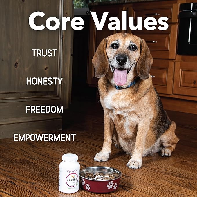 InClover Optagest Natural Digestive Aid, Organic Prebiotics & Enzymes Supplement Powder for Dogs and Cats - Promotes Healthy Stools, Less Gas, Optimal Nutrient Absorption, Intestinal Balance, 10.5oz