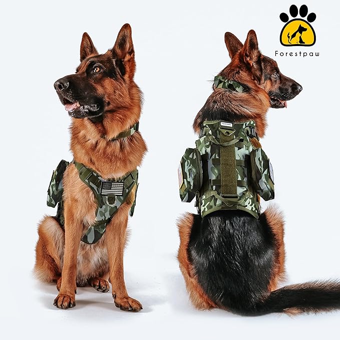Forestpaw Tactical Dog Harness Tactical Dog Collar with Bungee Leash Set,No Pull Military Dog Harness for Walking Training,Adjustable for Medium Large Dogs,Camouflage Green,Chest 19.5-41.5"