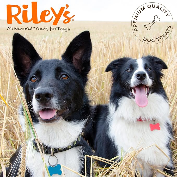 Riley's Chicken Sticks for Dogs - Natural USA Sourced Single Ingredient Dehydrated Real Meat Chicken Slims Jerky Treats, Made in The USA - 6 oz