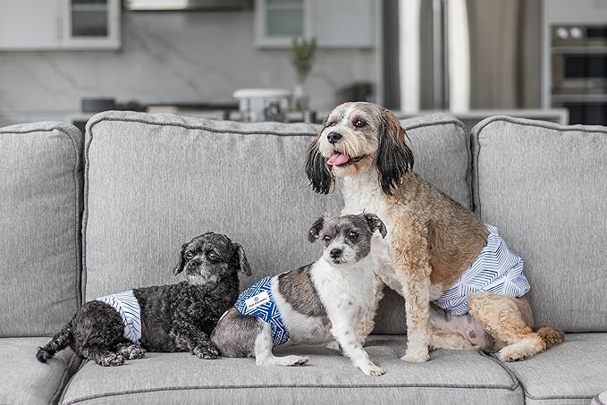 Pet Parents® Washable Belly Bands for Male Dogs (3pack) + Extendrs® of Durable Dog Diapers Male, Premium Male Dog Diapers & Dog Wraps (Medium, Kahuna)