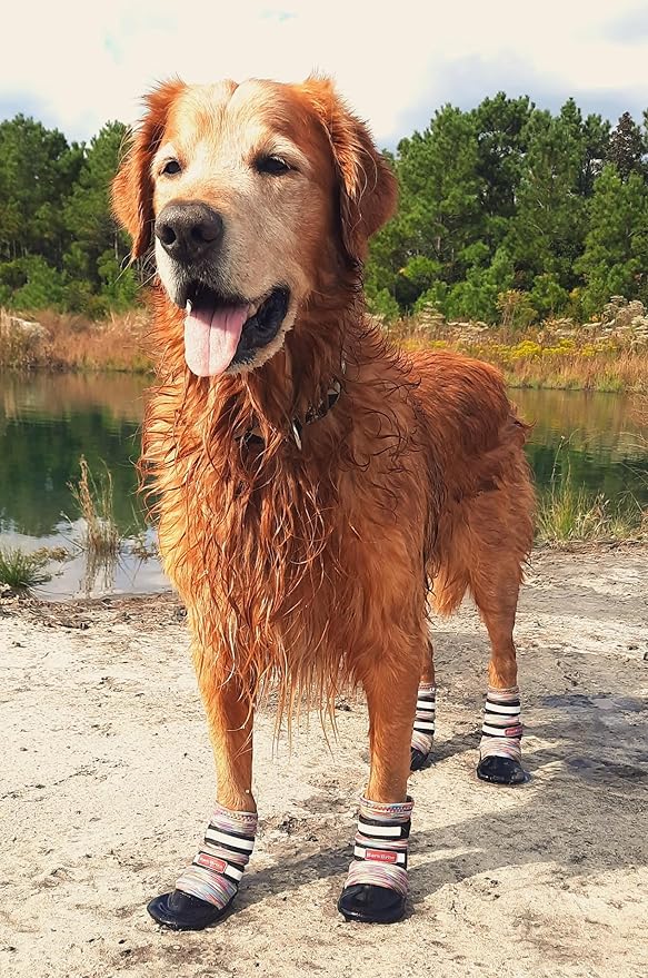 All Weather Neoprene Paw Protector Dog Boots with Reflective Straps in 5 Sizes! (Multicolor Large)