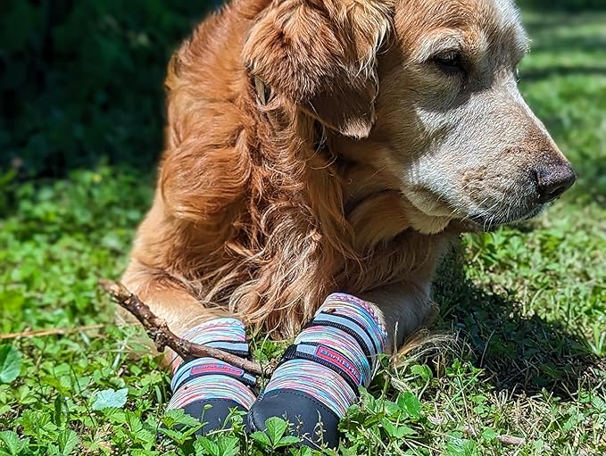 All Weather Neoprene Paw Protector Dog Boots with Reflective Straps in 5 Sizes! (Multicolor Small)