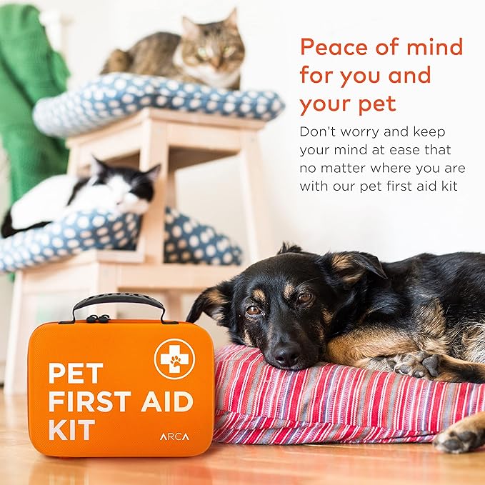 Care Bundle - First Aid Kit and Ear Cleaner Wipes for Dogs, Essential Health and Hygiene Set