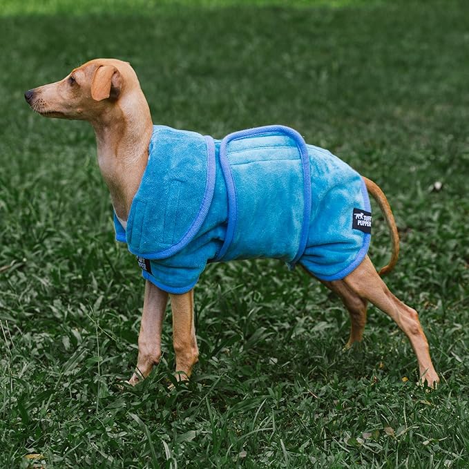Tuff Pupper Fast Drying Dog Bath Robe | 800 GSM Plush Dog Towel Bathrobe/Dressing Gown | Super Absorbent Pet/Puppy Bathrobe | Adjustable Hood & Belly Strap | Super Soft | Fast Drying (XS, Blue)