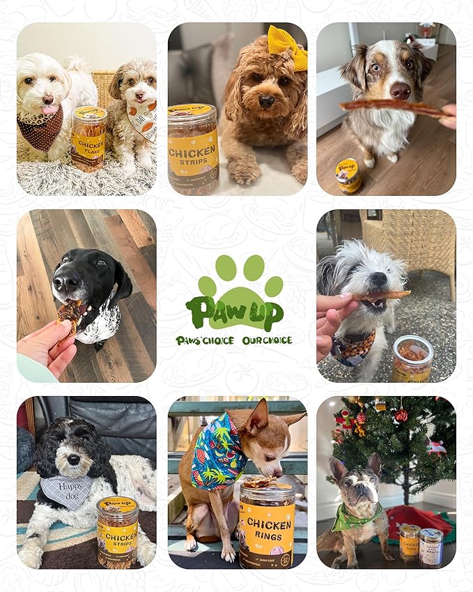 PAWUP Chicken Jerky Strips Dog Treats, Training Treats for Dogs w/Taurine, Low Fat, Natural Chicken Jerky Cuts, 12.5 oz