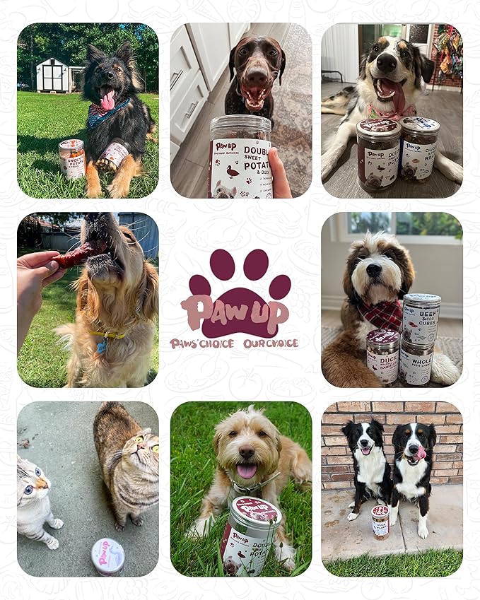 PAWUP Duck & Sweet Potato Dog Treats, High Fiber Pet Treats for Medium Dogs, Healthy Chews Snacks, High in Protein, 12.5 oz