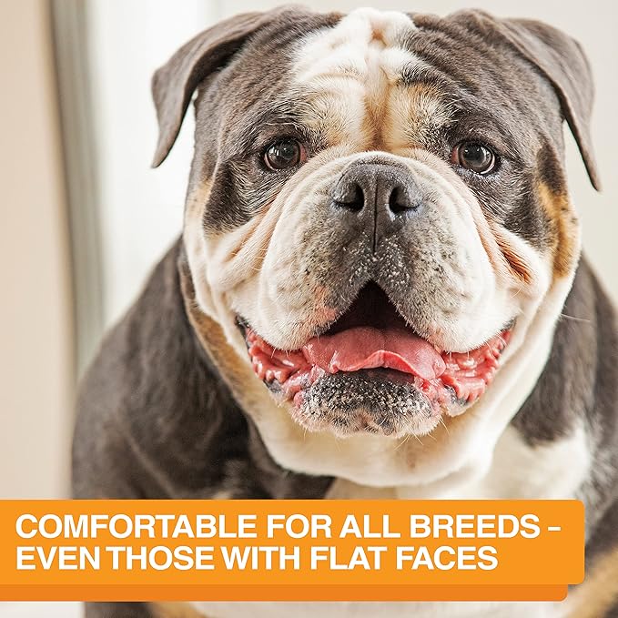 Neater Feeder Express Mess Proof Dog Bowls Elevated for Medium and Large Breed – Made in USA – No Spill Raised Slow Feeder Elevated Dog Bowl Stand, Slow Feed Food and Water Bowl Set, Black