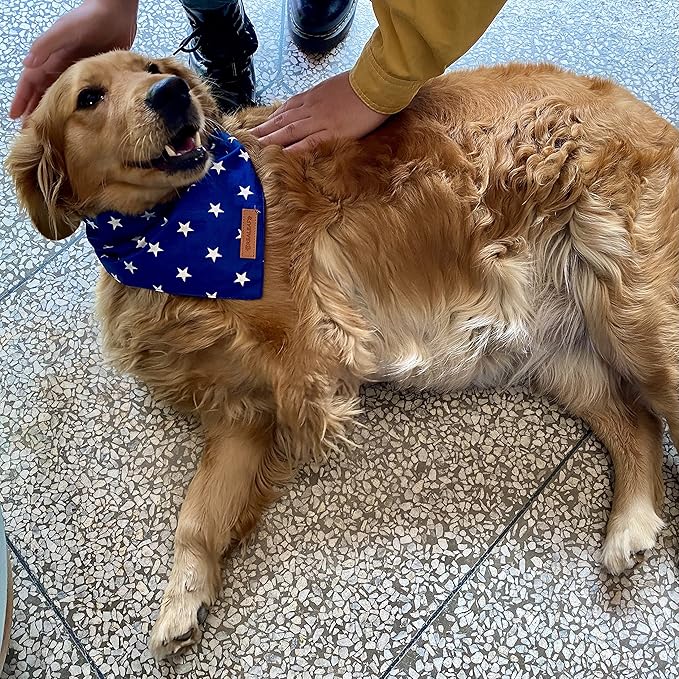 Realeaf 4th of July Dog Bandanas 2 Pack, Reversible American Flag Pet Scarf for Boy and Girl, Premium Durable Fabric, Patriotic Bandana for Small and Medium Dogs (Small)