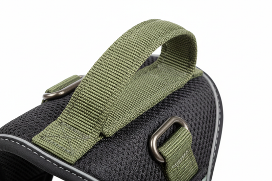 Dog Leashes That Make Everyday Walks More Comfortable and Confident