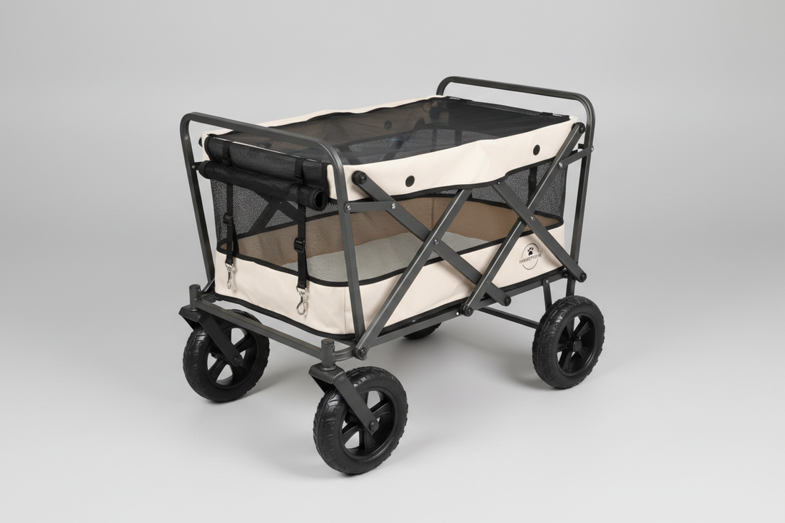 Dog Leashes for Easy Control, Comfort, and Daily Walk Variety