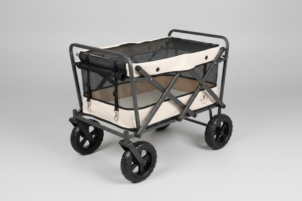 Dog Leashes for Easy Control, Comfort, and Daily Walk Variety