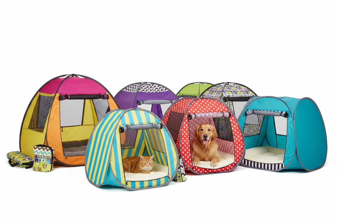 Everyday Dog Leashes Built for Visibility and Control