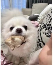 Plush Catnip Mice Toys with Rattle Sound - 2 Pcs Interactive Cat Toys for Indoor Cats, Durable Stress Relief Eco-Friendly Small Mouse Chew Playthings（with Catnip Bag）