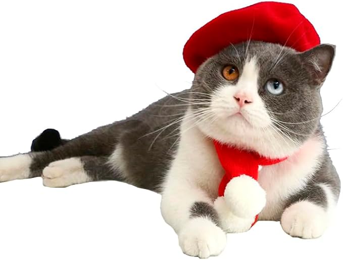 Dog Beret Hats Cats Hats Fashion Four Seasons Funny Wool Winter Pet Hat (red)