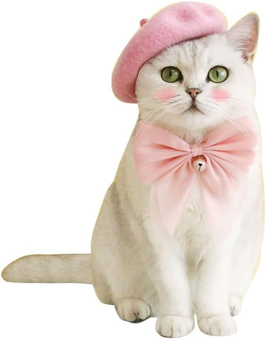 Dog Beret Hats Cats Hats Fashion Four Seasons Funny Wool Winter Pet Hat (Pink)