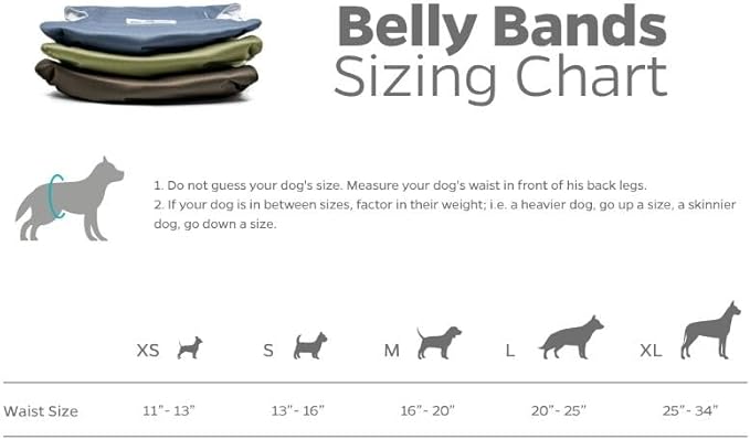 Pet Parents® Washable Belly Bands for Male Dogs (3pack) + Extendrs® of Durable Dog Diapers Male, Premium Male Dog Diapers & Dog Wraps (Large, Koda)