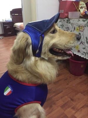 Pet Dog Baseball Cap Sport Cap Hat - Outdoor Hat Sun Protection Summer Cap for Small Medium Large Dog (Medium Cap, Blue)