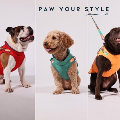 Generic Pawlook Dog Raincoat with Chest Leash and Collar, Reusable Waterproof Pet Coat for Small Dogs, Medium Dogs, Large Dogs (Green, Large)