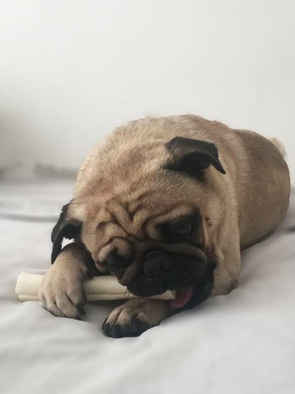 Cowdog Chews 5-6 Inches Rawhide Retriever Roll - Chewing Dog Treat, 100% Natural - Natural Grass Fed Livestock Sourced (10 Pack)