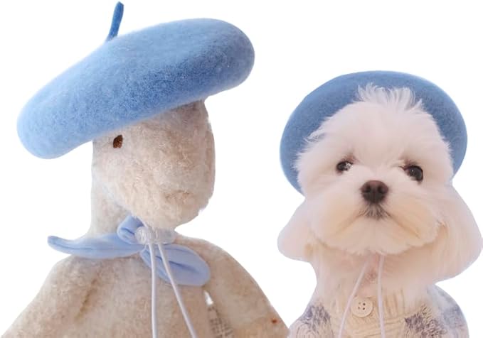 Dog Beret Hats Cats Hats Fashion Four Seasons Funny Wool Winter Pet Hat (Blue)